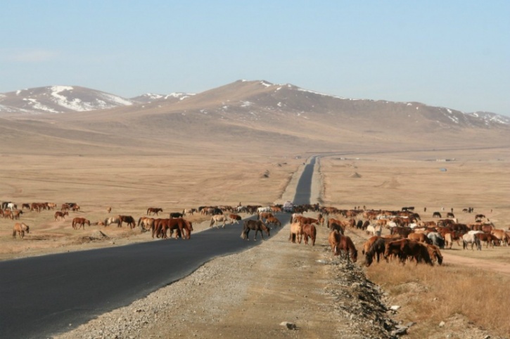 siberian%20highway%20-%20qnm-it_1443180909_725x725.jpg